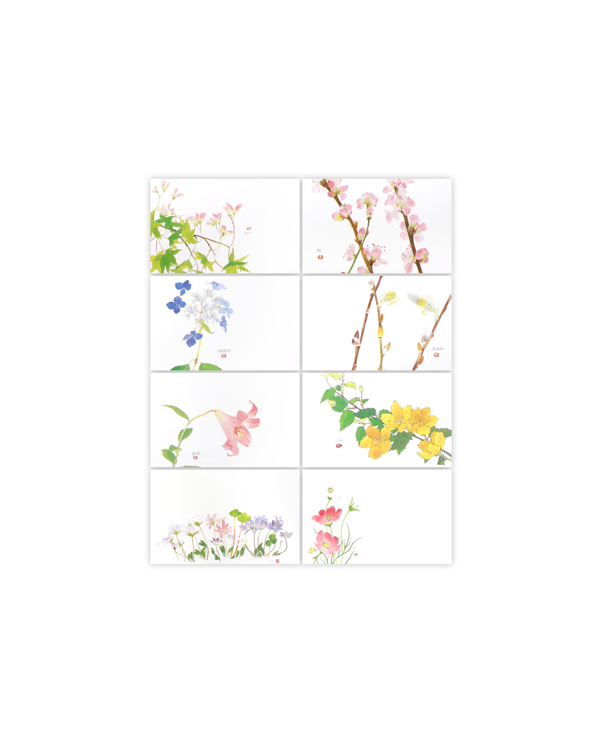 Carte postales collection Fleurs