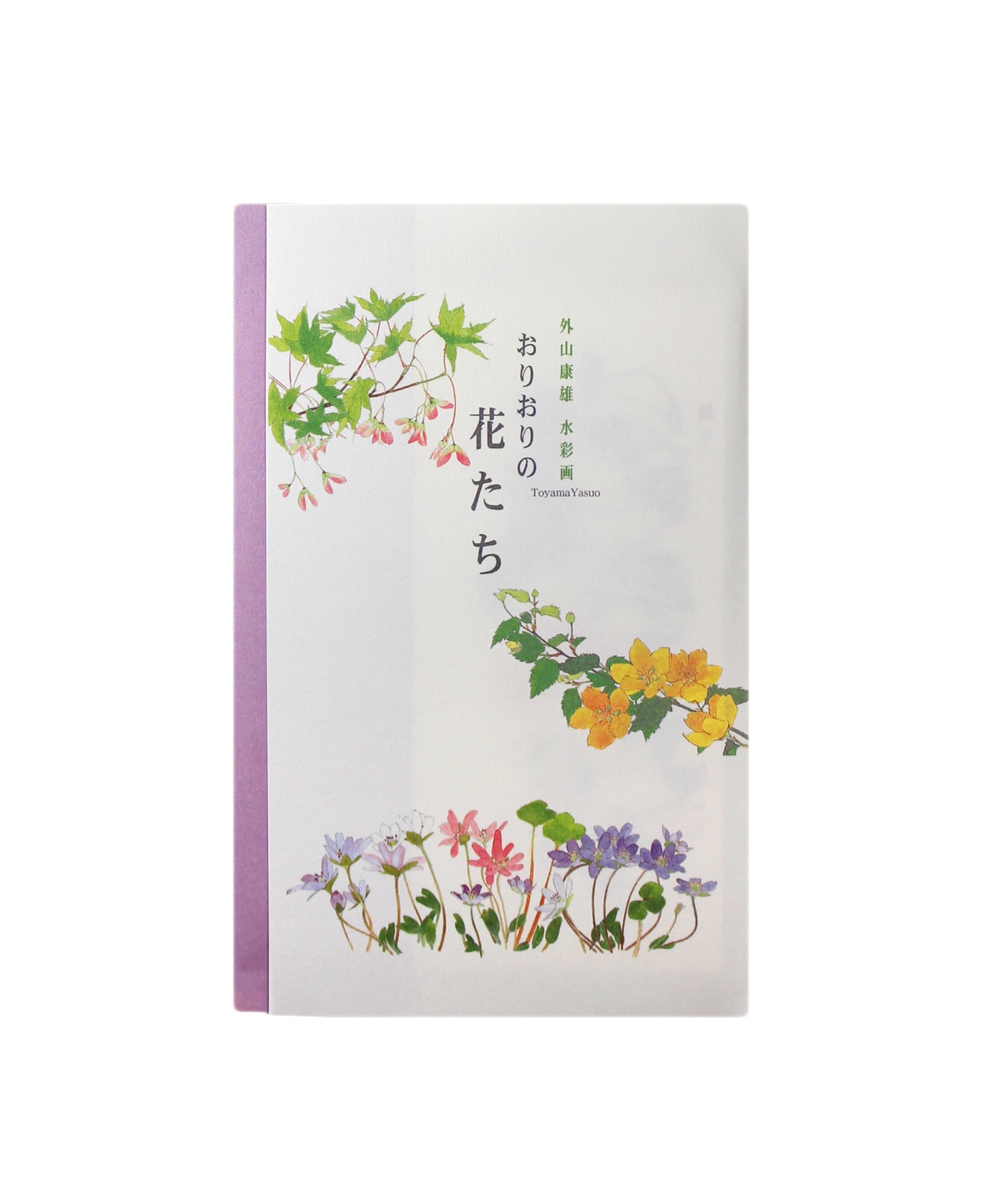 Carte postales collection Fleurs